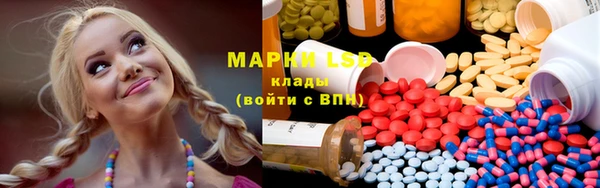 шишки Абинск