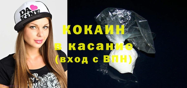 шишки Абинск