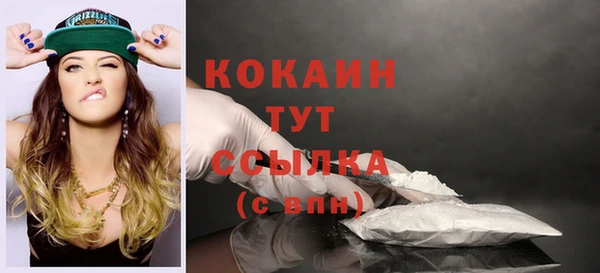 шишки Абинск