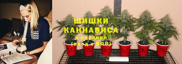 шишки Абинск