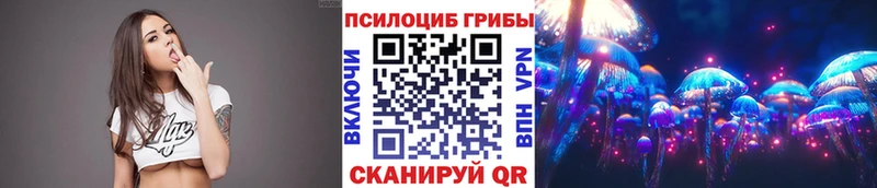 продажа наркотиков  Азнакаево  Псилоцибиновые грибы прущие грибы 