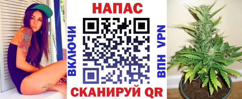Марихуана ГИДРОПОН  где можно купить наркотик  Азнакаево 